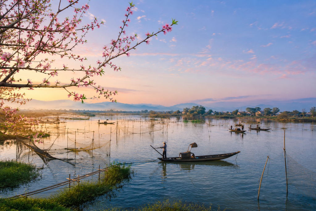 Khung cảnh bình minh trên đầm phá Tam Giang, Huế với thuyền đánh cá, mặt nước phẳng lặng và sắc hoa mùa xuân, tạo nên vẻ đẹp thơ mộng đặc trưng của cố đô.